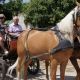 DSC07822.jpg