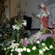 DSC05282.jpg